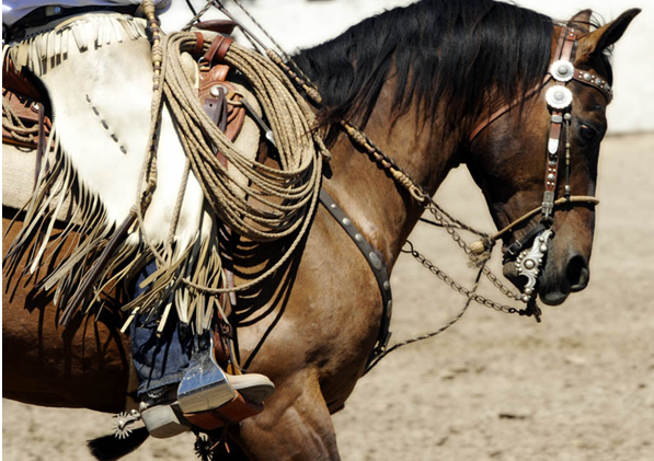 Vaquero Tack and Buckaroo Gear